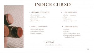 E-book de creación de maquillaje mineral pintalabios y gloss natural