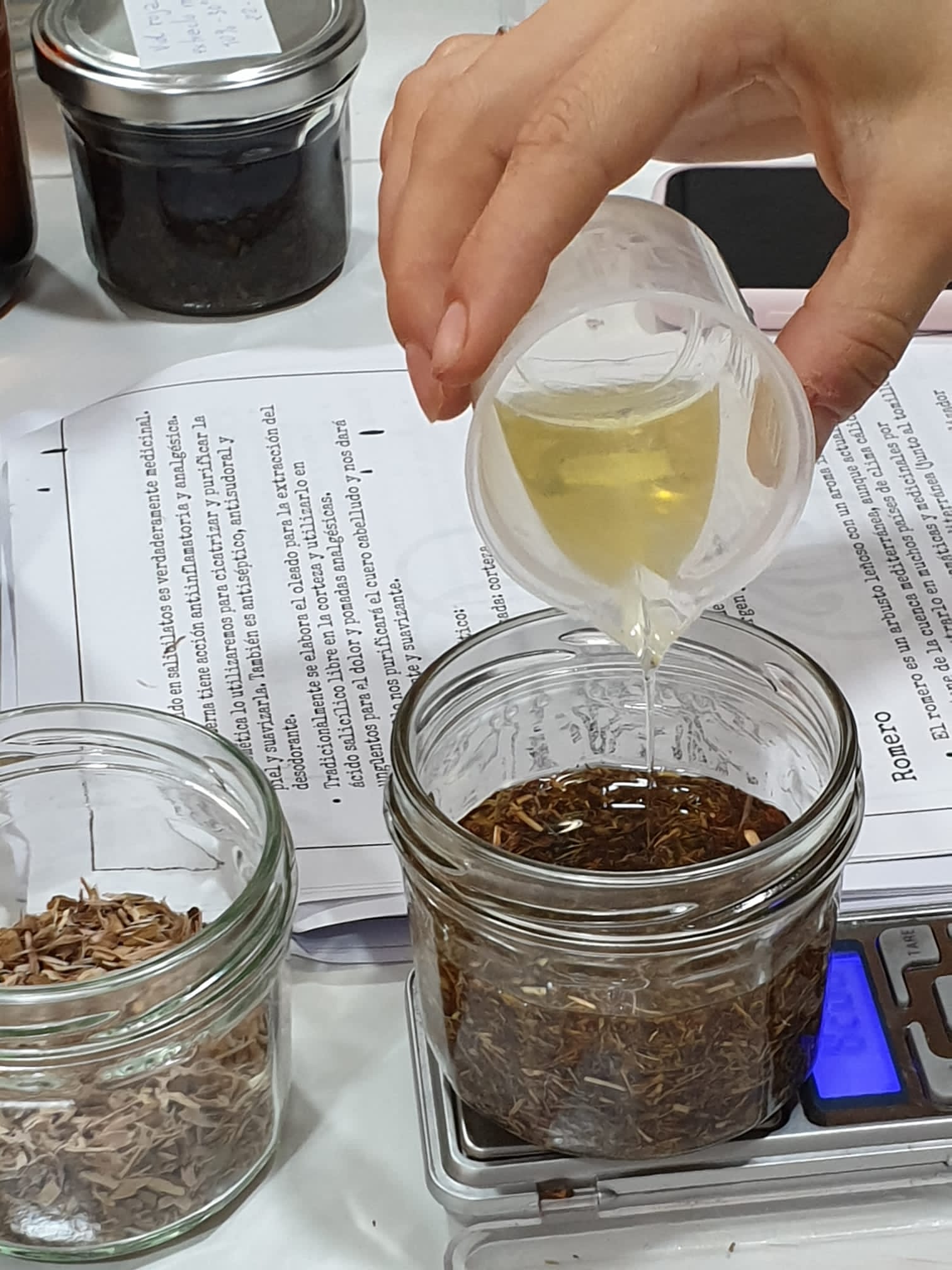Taller preparación extracto botánico