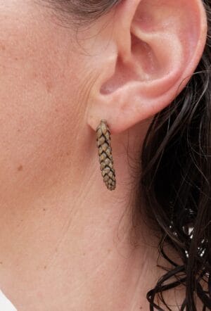 Araucaria Drops