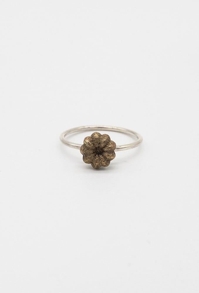 Tomate_ring_shop